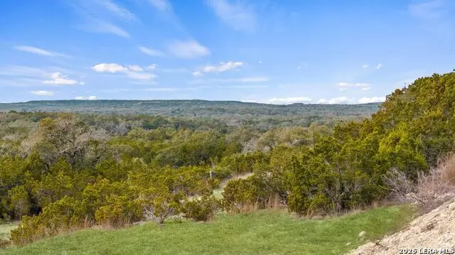 0 Limestone Hollow, Wimberley, TX 78676 - #2