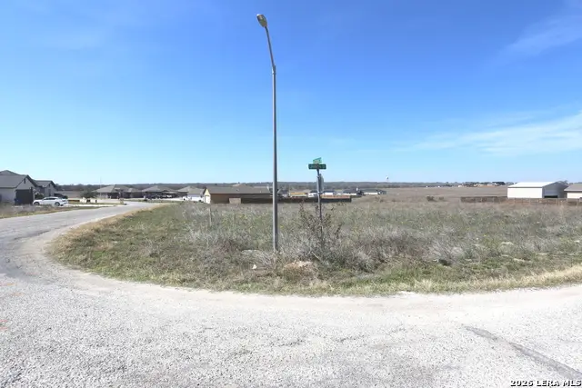 115 Las Palomas Dr, La Vernia, TX 78121 - #2