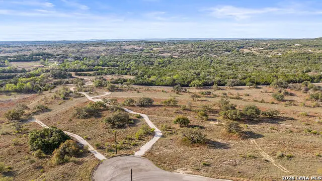 748 Whiskey Trail, Blanco, TX 78606 - #3
