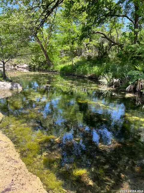 970 W Branch Crossing, Spring Branch, TX 78070 - #2