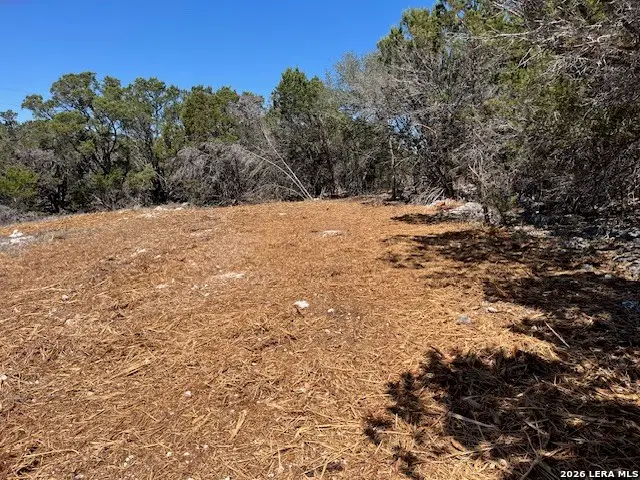 1344 Bellewood, Canyon Lake, TX 78133 - #3