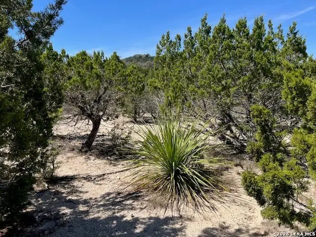 TBD Lakepark, Lakehills, TX 78063 - #3