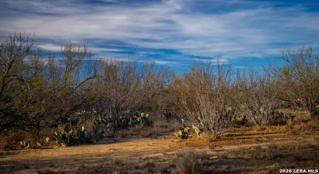 1799 Shumaca Road, Carrizo Springs, TX 78834 - #1