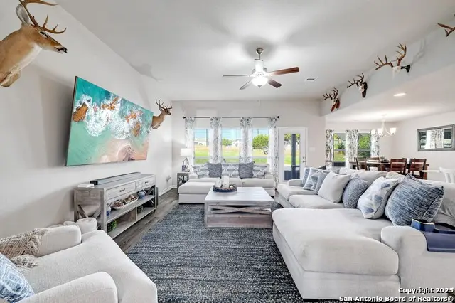 132 Frank Jones, Blanco, TX 78606 - #3