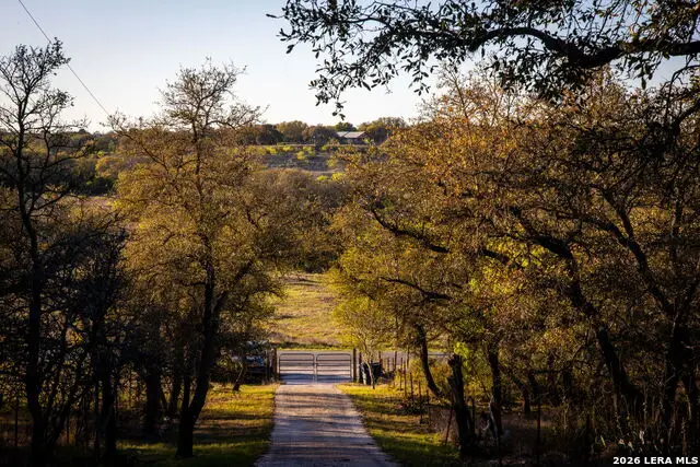 1285 Mission Valley, New Braunfels, TX 78132 - #3