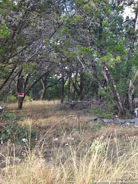 1645 Whispering Hills, Canyon Lake, TX 78133 - #2