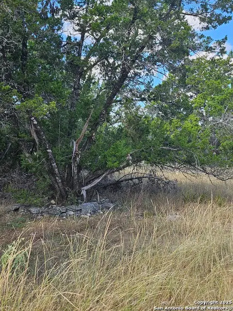 1645 Whispering Hills, Canyon Lake, TX 78133 - #3