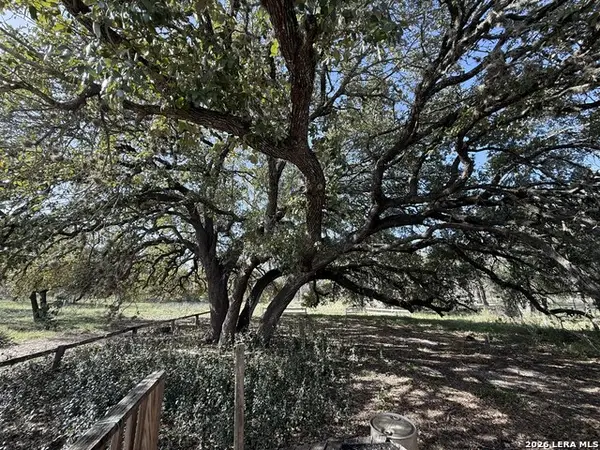 21480 Applewhite, San Antonio, TX 78264