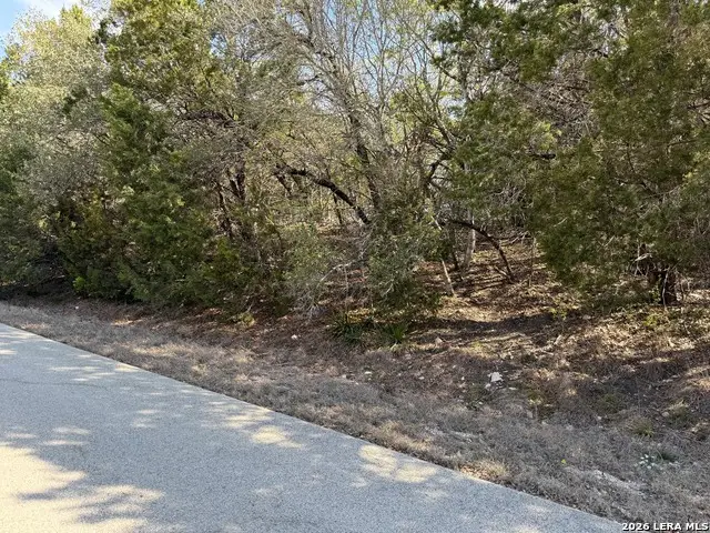 1252 Lake Bluff, Canyon Lake, TX 78133 - #2