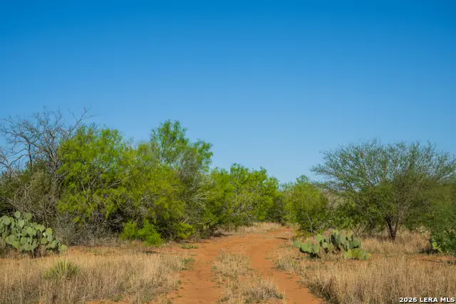 1048 County Road 640, Hondo, TX 78861 - #3