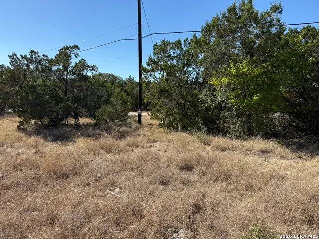 1503 Lake, Spring Branch, TX 78070 - #2