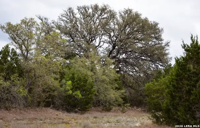 1040 Monteola, Bulverde, TX 78163 - #2