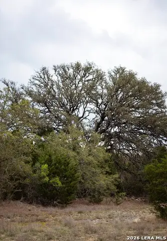 1040 Monteola, Bulverde, TX 78163 - #3