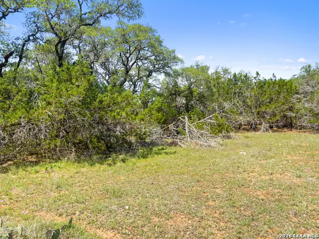 1530 Misty Lane, Spring Branch, TX 78070 - #2