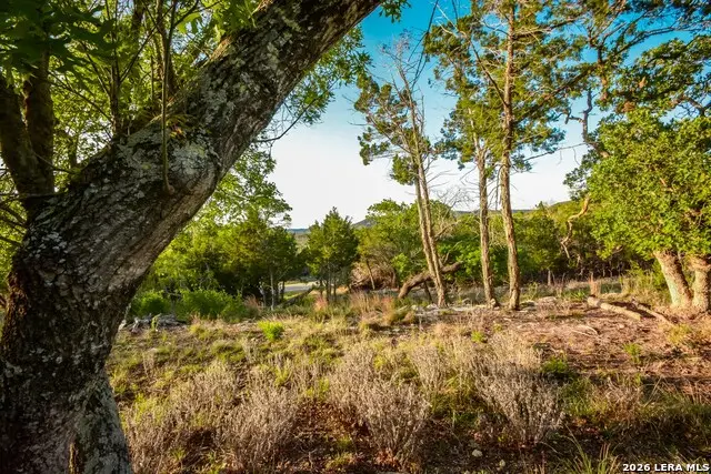 827 Thanksgiving, Utopia, TX 78884 - #1