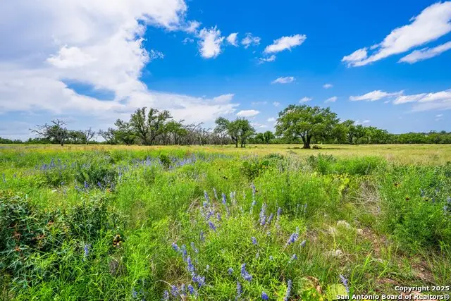 LOT 79 Stock Pond Dr, Harper, TX 78631 - #3
