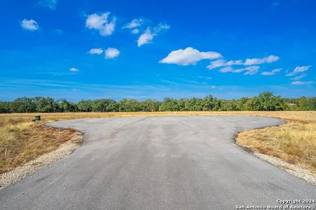LOT 12 Turn Out Lane, Harper, TX 78631 - #3
