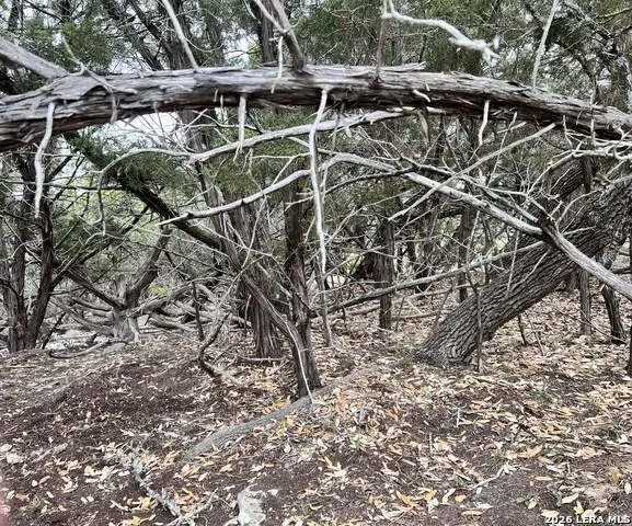 507 Lexington Pass, Canyon Lake, TX 78133 - #3