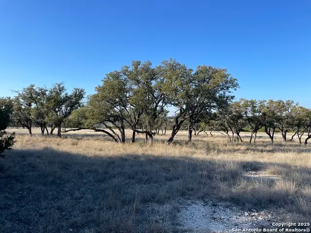 14 Seven Springs Dr., Junction, TX 76849 - #1