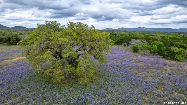 2229 County Road 390, Camp Wood, TX 78833 - #1