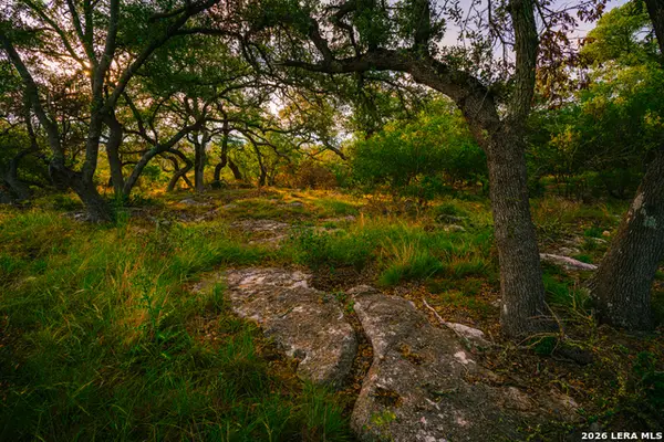 000 Rambling Oaks Ranch, Spring Branch, TX 78070