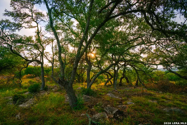 000 Rambling Oaks Ranch, Spring Branch, TX 78070 - #2