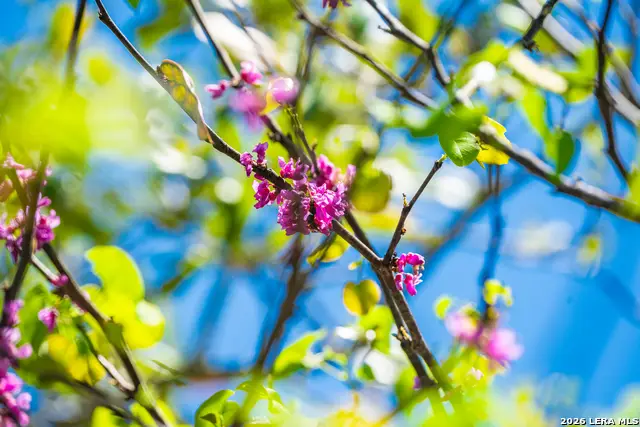 0 Upper Balcones, Boerne, TX 78006 - #3