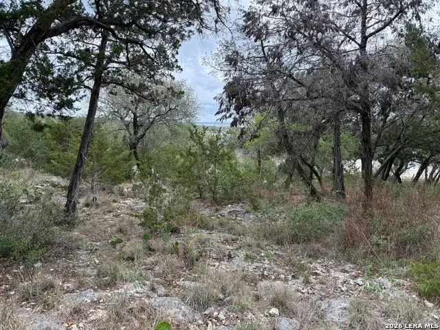 1113 Keystone, Canyon Lake, TX 78133 - #1