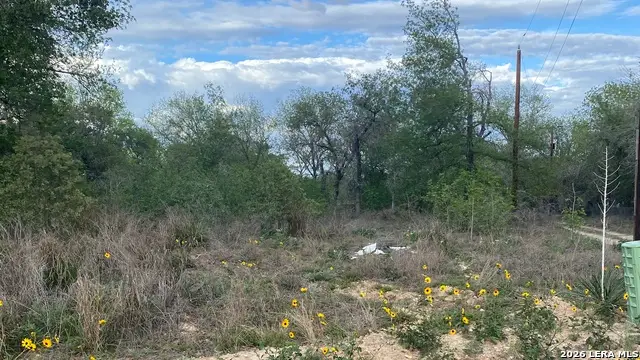 1823 Comal Cv, San Antonio, TX 78264 - #1