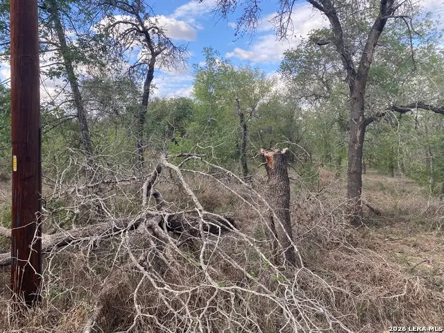 1823 Comal Cv, San Antonio, TX 78264 - #3