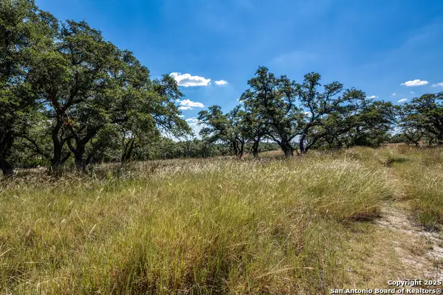 190 Fallen Acorn Dr, Blanco, TX 78606 - #2