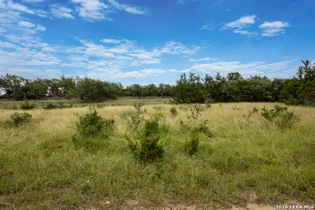 664 Travis Forest Dr, Bulverde, TX 78163 - #2