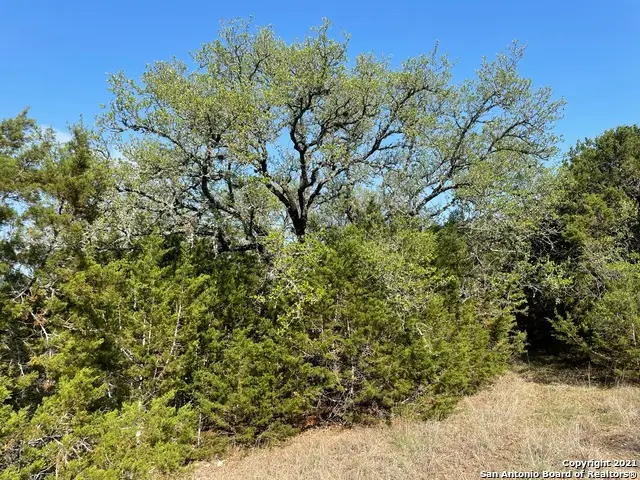 1865 Stallion Springs Dr, Fischer, TX 78623 - #1