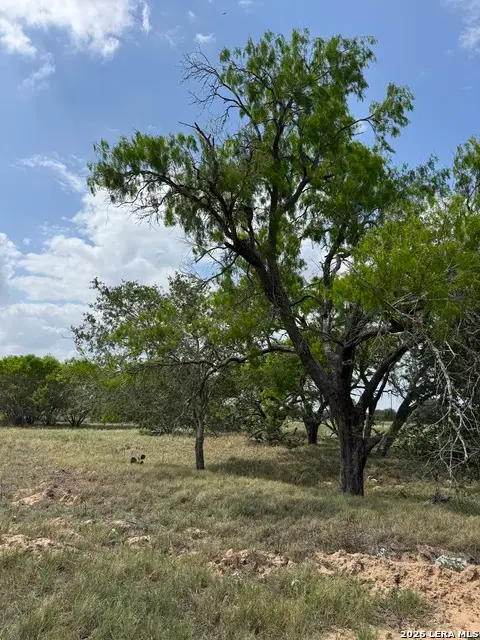 00 County Road 405, Floresville, TX 78114 - #1
