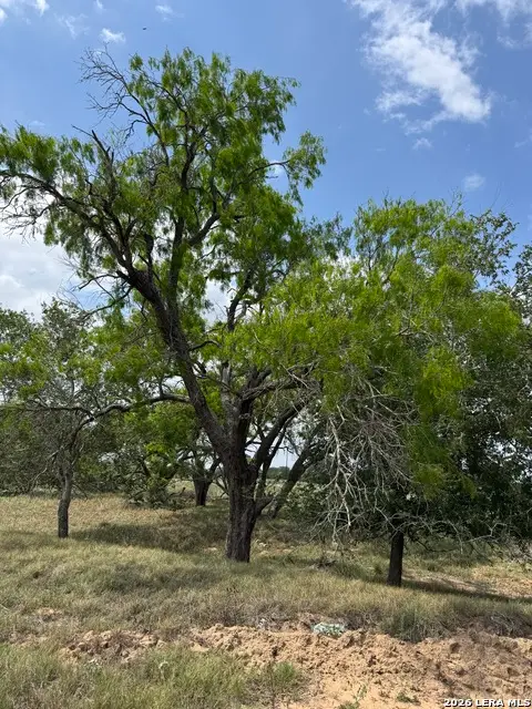 00 County Road 405, Floresville, TX 78114 - #2