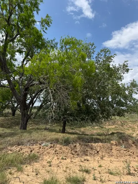 00 County Road 405, Floresville, TX 78114 - #3