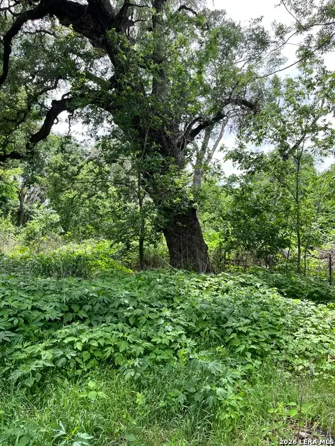 12760 Bernhardt Rd, San Antonio, TX 78263