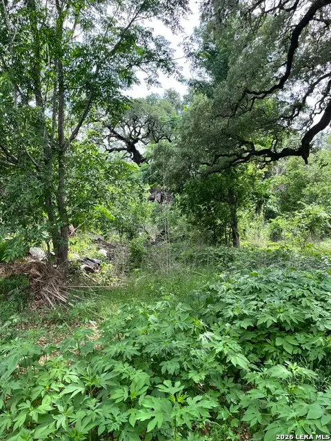 12760 Bernhardt Rd, San Antonio, TX 78263 - #2