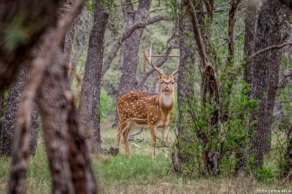 TBD Sattler Rd, Spring Branch, TX 78070