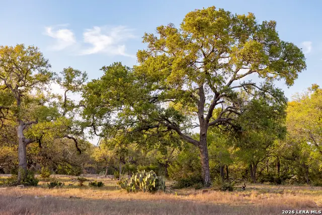 TBD Sattler Rd, Spring Branch, TX 78070 - #2