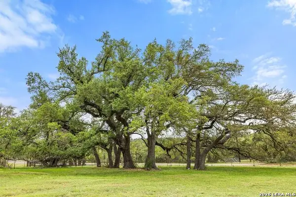 3657 Ranch Road 3232, Johnson City, TX 78636