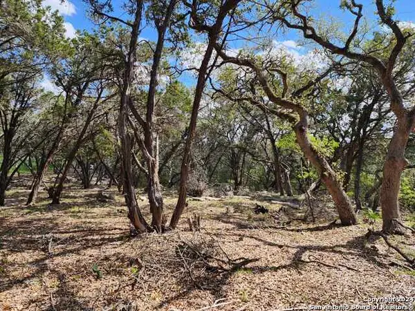 LOT 18/19 Forest Lake Dr, Spring Branch, TX 78070