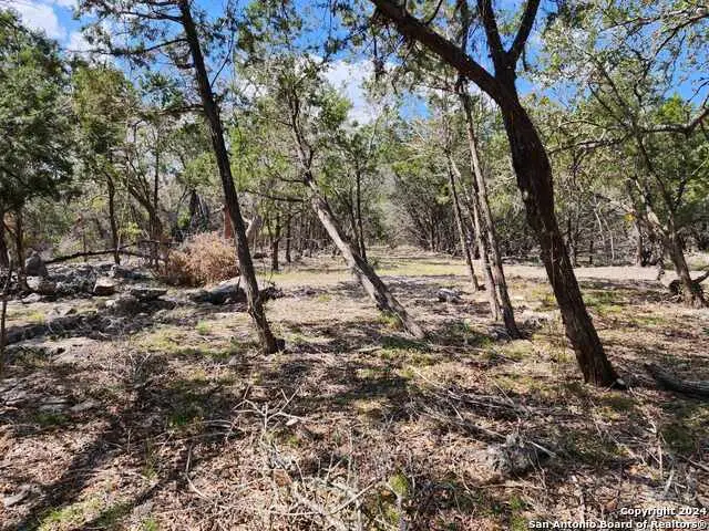 LOT 18/19 Forest Lake Dr, Spring Branch, TX 78070 - #2