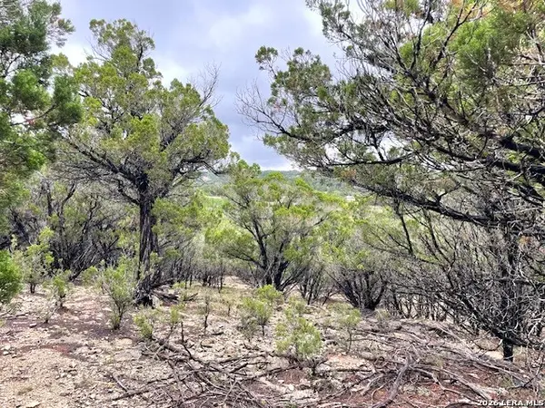 457 Timberline Dr, Bandera, TX 78003