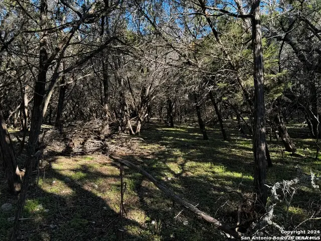 5111 Fm 1863, Bulverde, TX 78163 - #1