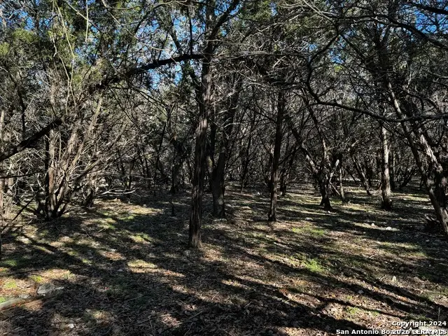 5111 Fm 1863, Bulverde, TX 78163 - #3