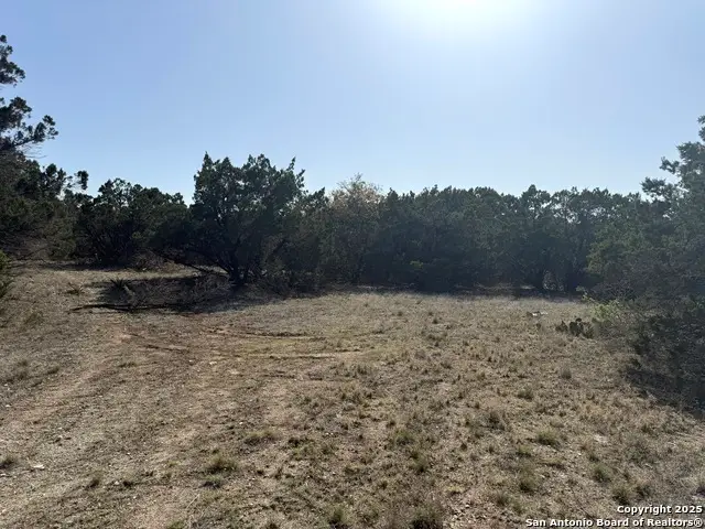1430 Circle Acres, Bulverde, TX 78163 - #2