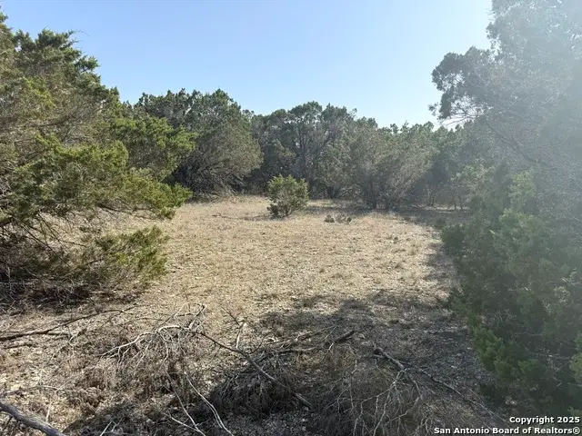 1430 Circle Acres, Bulverde, TX 78163 - #3