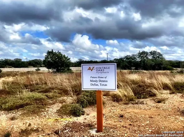 313 Pioneer Crest, New Braunfels, TX 78132 - #3