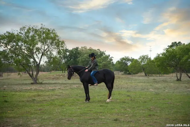 131 Wright Creek Rd, Victoria, TX 77905 - #3